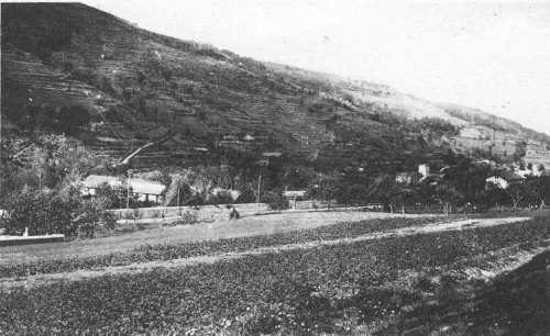 Champ labouré au fond de la vallée