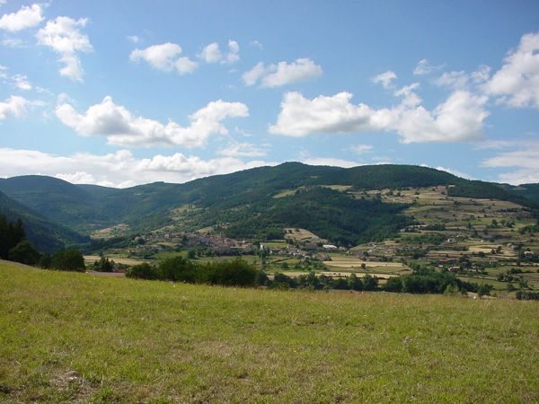 Prés et forêts au-dessus de Vanosc