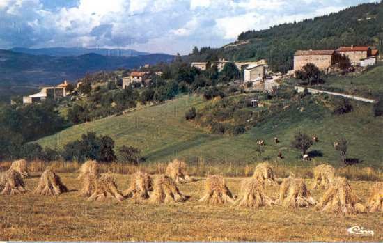 Gerbes de blé dans un champ dominant la vallée